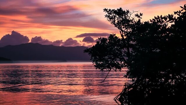 Tranquil Sub-Tropical Landscape with Mangrove Tree and Mountain Range after Sunset

