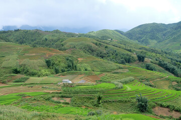 Fototapeta na wymiar The beautiful large rice terrace viewpoint in Sapa, Vietnam