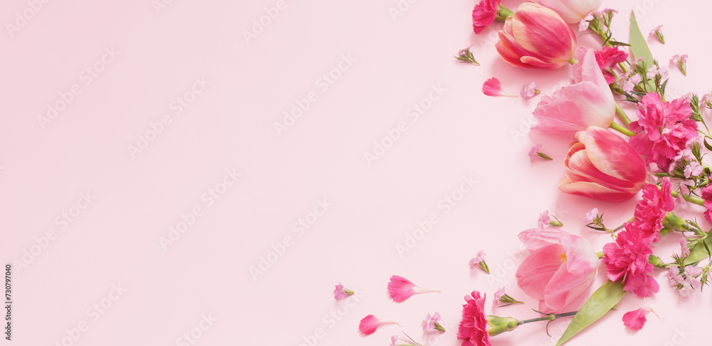 Wall mural beautiful spring flowers on pink background