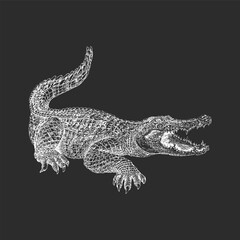 Fototapeta na wymiar Alligator, vintage hand drawn sketch in vector