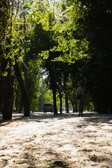 poplar fluff on street a lot, woman silhouette. heaps of white fluff poplar tree on sidewalk, flakes of fluff fall. selective focus, noisy photo
