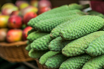 Monstera fruit in Madeira Island, Portugal