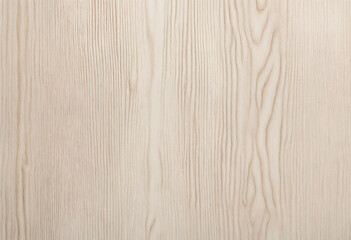 white maple wood background with natural texture,  white wood texture background surface with old natural pattern,