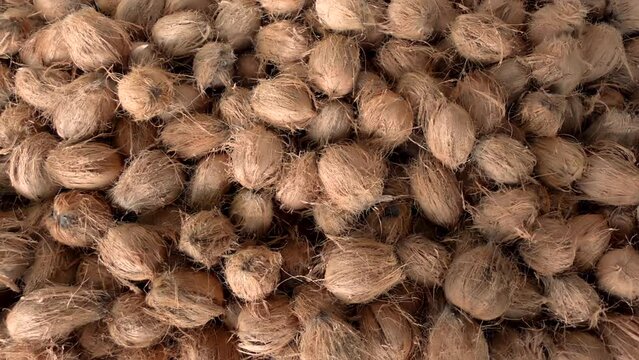 A stack of dry coconuts for sale.