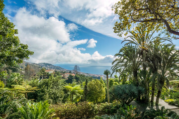 Fototapeta na wymiar Botanical Garden in Madeira Island, Portugal