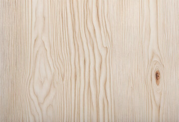 white maple wood background with natural texture,  white wood texture background surface with old natural pattern,