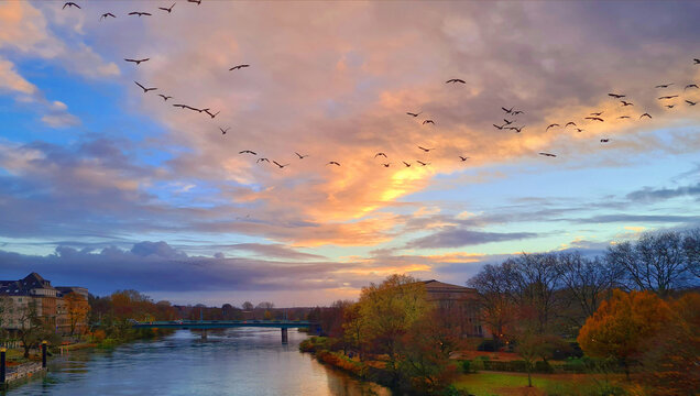 migratory birds flying in v-shape below v-shaped cloudscape above a river at sunset, M&uuml;lheim, Germany