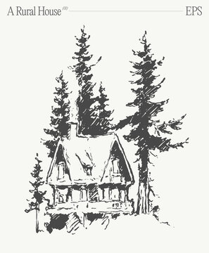 A house in a forest with evergreen trees on a sloped landscape. Hand drawn vector illustration.