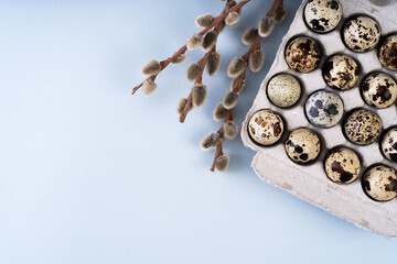 Composition with Easter eggs and willow branches on a blue background. Blue background with quail eggs.