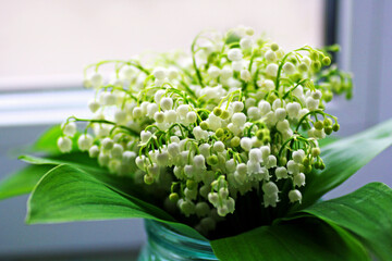  A small bouquet of lilies of the valley with white flowers and green leaves. - 730813803