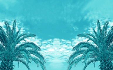 Fototapeta na wymiar Pop Art Surreal Styled of Turquoise Blue Two Palm Trees