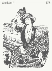 Woman picking grapes in vineyard. Label design element. Hand drawn vector illustration, sketch.