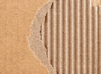 Space on ripped cardboard paper texture with torn edges