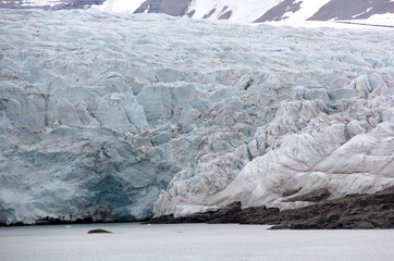gros plan sur le glacier 