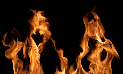 Fire flames on a black background