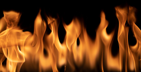 Fire flames on a black background