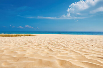 Fototapeta na wymiar free space on sand and summer beach landscape