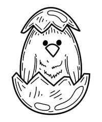 Coloring book chicken in eggshell sketch. Baby bird. Hand drawn vector illustration.