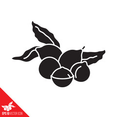 Macadamia nuts and leaves vector glyph icon