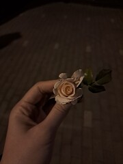 white flower