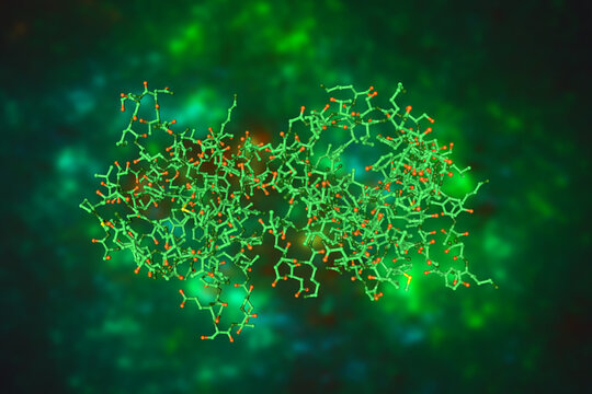 Structure of the cell wall targeting domain of peptidylglycan hydrolase ALE-1. Molecular model. Rendering based on protein data bank entry 1r77. Scientific background. 3d illustration