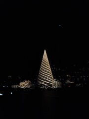 christmas tree in the night