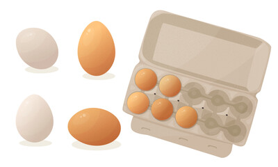 Cartoon chicken eggs. Fresh eggs in a cardboard box. Organic farm food illustration set. Open a paper bag, cooking