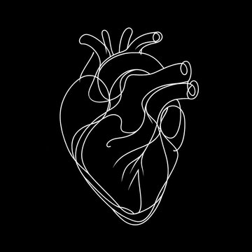 There is a depiction of a human heart in white, with a black background encompassing it.