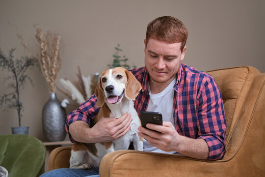 A man enjoys his smartphone, accompanied by his beagle, whose attention is drawn to the camera, a moment blending modern life with timeless companionship.