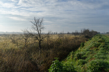 Obraz na płótnie Canvas Fields and meadows near Arles in winter