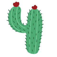 Doodle cactus element isolated on white background. Cute succulent in cartoon style for kids design. Vector illustration