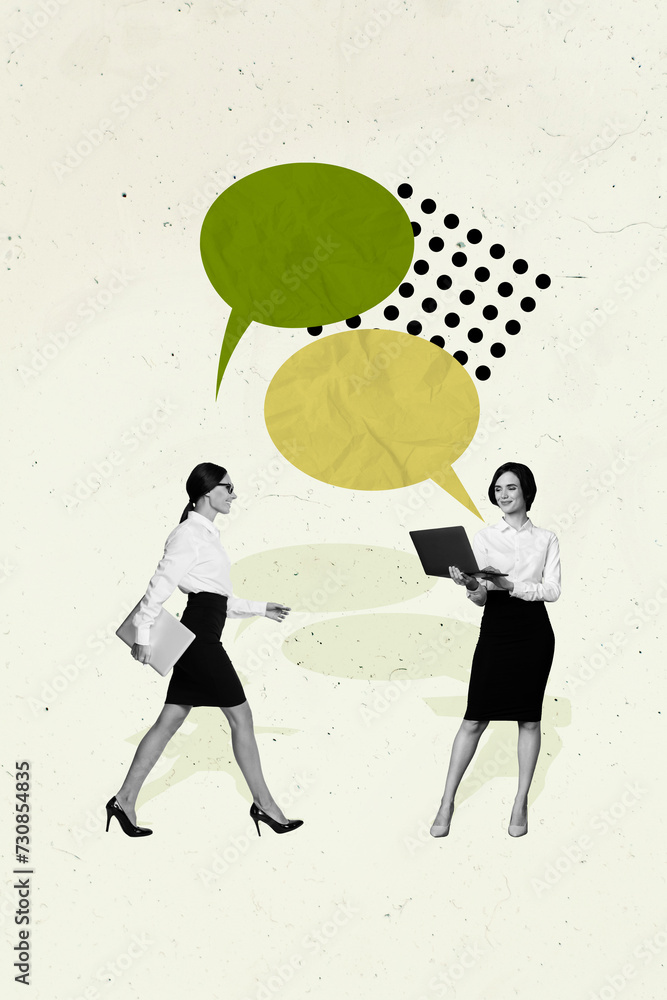 Aufkleber poster banner image picture collage of successful business lady have collaboration distance remote u