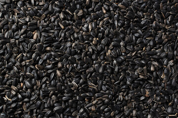 Black sunflower seeds. For background or texture