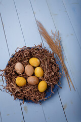Brown and yellow painted Easter eggs in decorative nest on blue wooden background. Top view, copy space, vertical shot