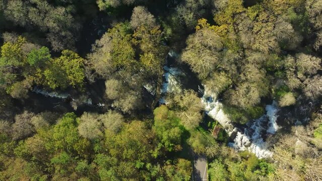 Aerial footage of the Zas River flowing on rocks through dense woods in A Coruna, Galicia, Spain