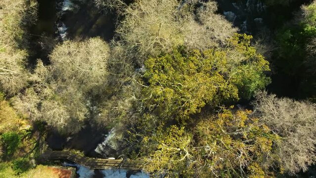 Top down drone footage of a wooden bridge over Zas River near Castriz village in A Coruna, Spain