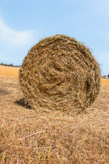 botte de paille ronde sur le champ