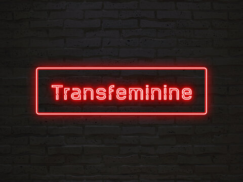 Transfeminine のネオン文字