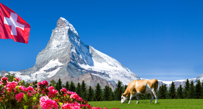 Berggipfel Matterhorn mit Schweizer Fahne und Kuh