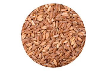 Large grains of wheat porridge are brown in color when raw