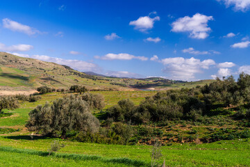 Fototapeta premium Landscape of northern Tunisia - Sejnene region - Tunisia 