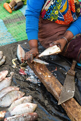 des mouches sur du poisson en vente sur un marché à Dakar au Sénégal en Afrique