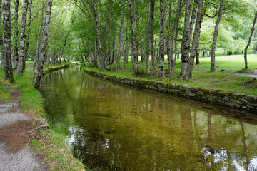 Green landscape of Serra da Estrela National Park with crystal clear waterway and forest
