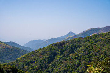 Fototapeta premium Charmady Ghat is a mountain pass in the Western Ghats range in the kadur to mangalore Road of Karnataka, India