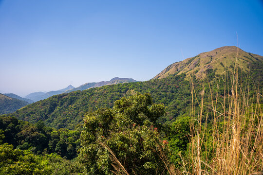 Charmady Ghat is a mountain pass in the Western Ghats range in the kadur to mangalore Road of Karnataka, India