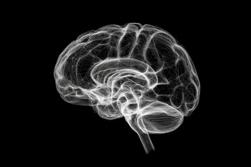 X-ray scan of the human brain on a white background with a black background Illustration of neurology and medical technology,The wire mesh of the brain Electrical scanning technology