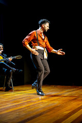 Solo flamenco dancer in action with guitarist in background, copy space.