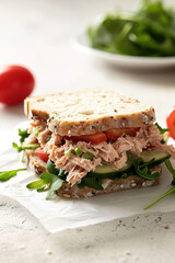 professional food photography tuna sandwich with empty copy space, and plain background, restaurant advertising