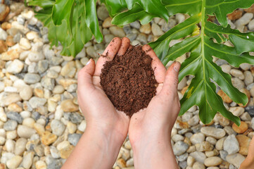 mãos femininas segurando terra , conceito de cuidado com meio ambiente  e adubação de plantas 