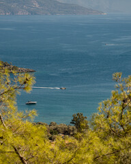 view from thesea seen between trees, boat sailing on the sea, heavenly holiday sea